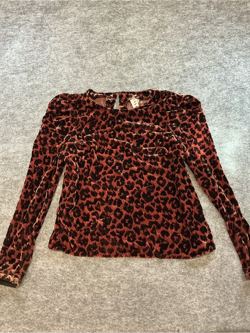 Dolan Velvet Scoop Neck Cheetah Print Long Sleeve Top B17